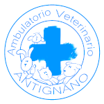 Logo ambulatorio